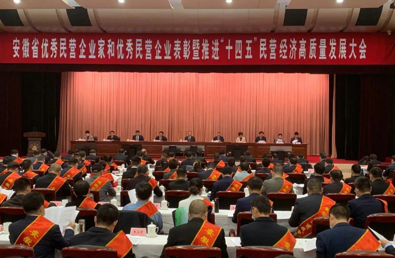 喜讯！利澳国际注册科技总经理梁燕被授予“安徽省优秀民营企业家”称号