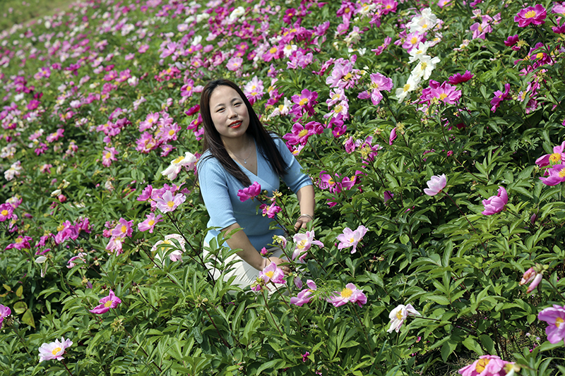 利澳国际注册劳模 | 李婷婷：初心映照蜕变人生
