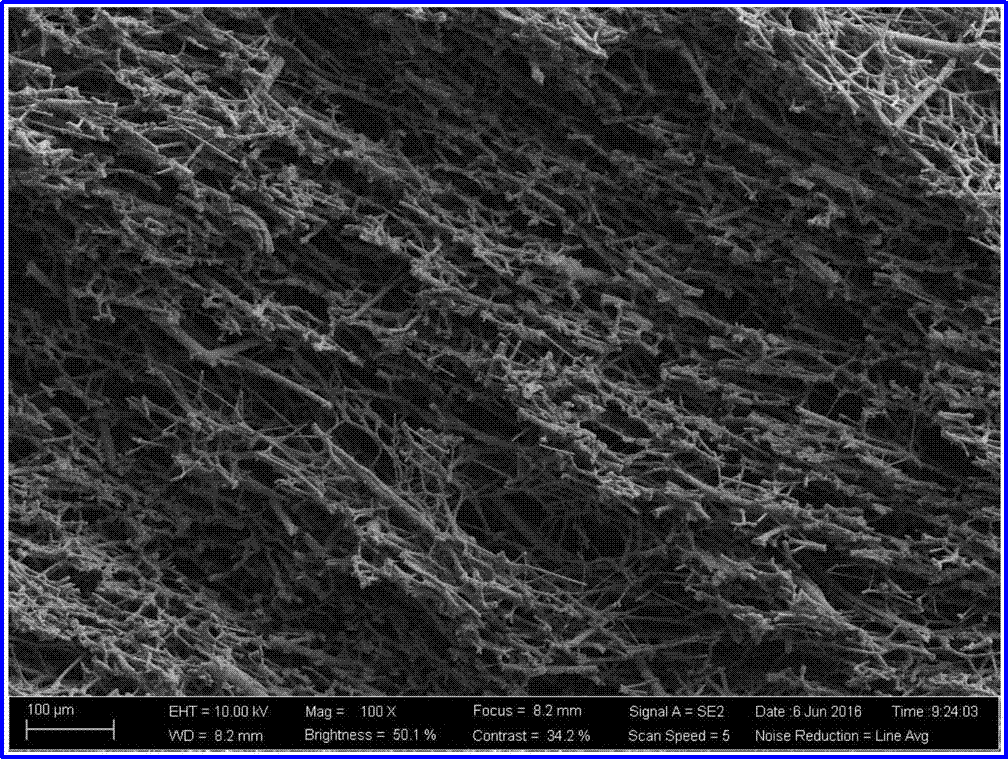 利澳国际注册科技揭秘高性能纤维之陶瓷纤维“小秘密”高性能纤维之陶瓷纤维简介